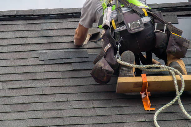 Best Roof Gutter Cleaning  in Macon, IL